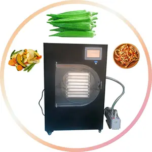 2024 Lab Use Vacuum Freeze Dryer Fruit Vegetable Insect Flower Tea Lyophilizer Lyophilization Dehydrator