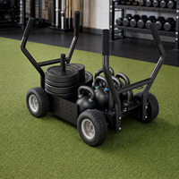 VIGFIT Station d'entraînement multifonctionnelle commerciale avec résistance magnétique pour le renforcement du tronc