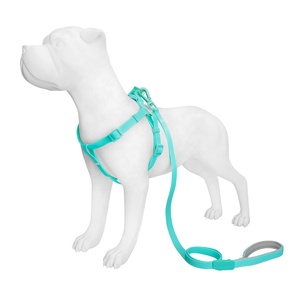 Correa de PVC para Collar de perro, resistente al agua, para caminar, entrenamiento, logotipo personalizado, Color de lujo, a la moda - Product Image 5