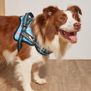 MIDEPET – gilet de randonnée <span class=keywords><strong>pour</strong></span> chien, gilet tactique <span class=keywords><strong>pour</strong></span> <span class=keywords><strong>grand</strong></span> chien, vente en gros - Product Image 3