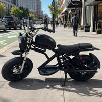 Moto électrique rétro à pneus larges avec plateforme de plancher pour un trajet urbain confortable – Approvisionnement en gros