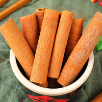 Épices séchées personnalisées en gros d'usine Cassia bâtons de cannelle cannelle de Ceylan
