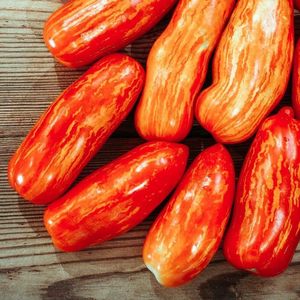 Pacchetto da <span class=keywords><strong>giardino</strong></span> 100 cimelio chiazzato di pomodoro <span class=keywords><strong>romano</strong></span> Non-GMO Lycopersicon Lycopersicum per giardinaggio domestico e vasi di fiori - Product Image 1