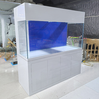 Aquarium marin sur mesure en verre ultra-blanc pour coraux avec meuble, sump, écumeur de protéines et refroidisseur d'aquarium
