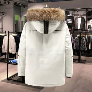 Men's Winter Warm Slim Hooded Thick <b>White</b> Duck Puffer Coat Cross-Border Short Style 95% Printed Canvas Zipper Drum Packaging - Product Image 5