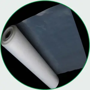 Película de polietileno para invernadero, cubierta de rollo de plástico, 6 Mil, UV 100-250 Mic