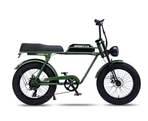 Hot Sale low price 7 Speed Aluminum Alloy high quality other electric bike kit