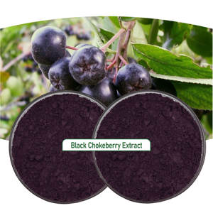 Poudre d'extrait de Chokeberry Noir Anthocyanines 25% Biologique Alimentaire Complément Alimentaire aux Baies d'Aronia Tambour Certifié ISO/Halal/Casher - Product Image 2