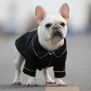 Magnifique gilet pour chien noir respirant, pyjama pour petits chiens, idéal pour le printemps - Product Image 2