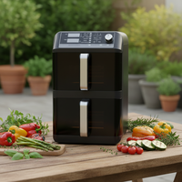 Friteuse à air électrique double cuve Vasion - Contrôle numérique, économe en énergie, pour camping-car et usage domestique, cuisson polyvalente