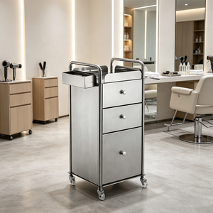 Meilleure Vente : Chariot de Coiffure en Acier Inoxydable Argenté, Meuble de Rangement Métallique pour Outils de Salon de Beauté, Idéal pour la Maison et le Salon - Product Image 2