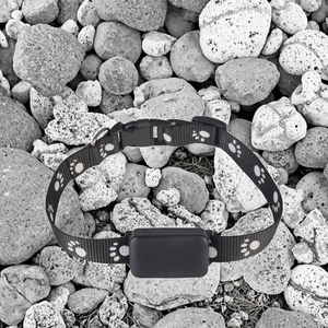 P03 Thông Minh <span class=keywords><strong>GPS</strong></span> Pet Tracker Không Thấm Nước IP67 Chống Mất Cổ Áo 4G <span class=keywords><strong>Android</strong></span> <span class=keywords><strong>Navigator</strong></span> Lbs Định Vị Cho Mèo Chó Vật Liệu Nhựa - Product Image 2