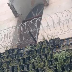 Fil de fer galvanisé anti-corrosion, fil barbelé en spirale, clôture de sécurité avec bord tranchant - Product Image 4