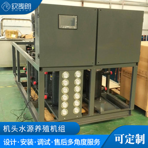 Unité de pompe à chaleur à source d'eau pour élevages avicoles et porcins 380V R-410A, construction métallique, économie d'énergie - Product Image 5