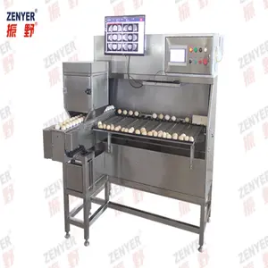 Zenyer 2024, a nova máquina de classificação de ovos com detector visual de rachaduras