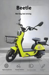 Bicicleta con Diseños Personalizables, Económica, de Acero al Carbono, 48V 1000W, Motor sin Escobillas, 60km, Pantalla LCD Digital Electrónica - Product Image 4