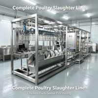Ligne d'abattage de volailles mobile compacte, ensemble complet, machines de traitement modulaires pour poulet, canard, oie