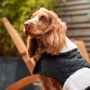 <span class=keywords><strong>Veste</strong></span> coupe-vent personnalisée <span class=keywords><strong>pour</strong></span> chiens, vêtements résistants à l'eau <span class=keywords><strong>pour</strong></span> chiens, teckel, lévrier d'extérieur, manteau <span class=keywords><strong>pour</strong></span> animaux <span class=keywords><strong>de</strong></span> compagnie - Product Image 5