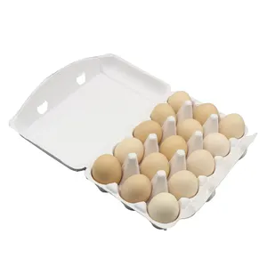 2023 도매 친환경 100% 재활용 계란 포장 트레이 큰 크기 계란 상자 종이 펄프와 판지