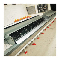 Système d'alimentation automatique en chaîne pour volailles, équipement avicole automatique pour poules pondeuses