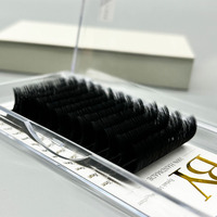 BY Easy Fanning Wholesale Lash Extensions de cils personnalisées J B C CC D DD L+ LC LD M Curl, longueur 5-25mm, épaisseur 0.03 05 07, plateaux de cils
