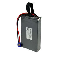 Batterie de drone rechargeable à semi-conducteurs haute capacité 6S 22,2V 80000mAh, décharge 10C, longue autonomie, pour drones industriels