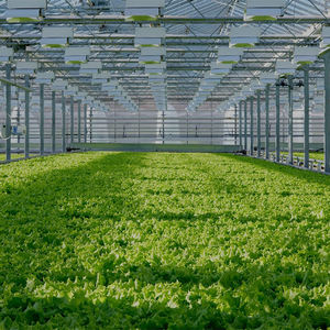 Skyplant กรอบเรือนกระจกที่ใช้ในเชิงพาณิชย์ทำจากฟิล์มหลายช่วงโครงสร้างเรือนกระจกสำหรับบ้านสีเขียวแบบครบวงจร - Product Image 6