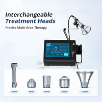 Appareil de physiothérapie laser haute puissance 635nm 810nm 915nm/980nm 1064nm pour la gestion de la douleur chez les chiens/les chats/les chevaux