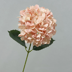 Têtes d'hortensias artificielles en soie de 15 cm, vente en gros directe d'usine, pour la décoration de salons de manucure, hôtels, centres commerciaux et fêtes - Product Image 5