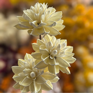 Flores Secas Hechas a Mano, Lantana <span class=keywords><strong>Camara</strong></span>, Decoración Rústica para Habitaciones, Cabeza de Flor Grande de 10 cm de Diámetro - Product Image 2