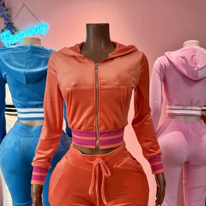 2026 Fall Y2K Velour <strong>Tracksuit</strong> 2 Piece Set Long Sleeve Zip up Crop Hoodie +Flare Pants <strong>Velvet</strong> Jogging Suit <strong>Tracksuits</strong> <strong>Women</strong> - Product Image 3