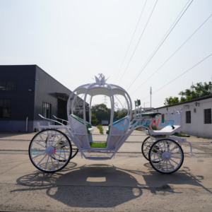 Chariot de Cendrillon de haute qualité à vendre/chariot de citrouille personnalisé de <span class=keywords><strong>mariage</strong></span>/chariot de transport spécial - Product Image 6