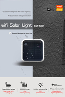 Sensor de Luz Solar WiFi Tuya, IP65 Impermeable, Inalámbrico Inteligente con Energía Solar, Compatible con Home Assistant, TY-SL-GZ