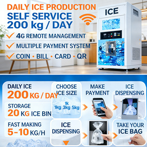 เครื่องทำน้ำแข็งอัตโนมัติสำหรับธุรกิจขายน้ำแข็งแบบหยอดเหรียญกลางแจ้ง - Product Image 2