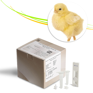 H9 H5 H7 H5n1 cúm gia cầm (cúm gia cầm) virus nhanh chóng kiểm tra H5 aiv gia cầm bệnh phát hiện Kit - Product Image 3