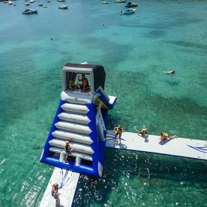 Grand toboggan gonflable commercial haut de gamme avec auvent, idéal pour l'escalade et les jeux en famille, adapté aux adultes et aux enfants - Product Image 1