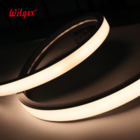 Bande LED néon en silicone grande taille 40x25mm IP65 double rangée optimisée pour la distance, PCB en cuivre 3oz ignifuge B2 5Y