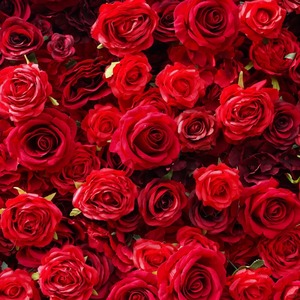 Sfondo Floreale Artificiale 3D 5D di Alta Qualità con Rose Rosse, Decorazione Floreale Artificiale Arrotolabile per Matrimoni ed Eventi in Cina - Product Image 3