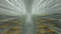 Système hydroponique intelligent et écologique Seedafarm pour la production de fourrage, avec équipement de contrôle PLC, conteneur d'expédition, serre