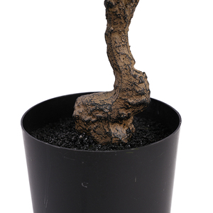 Árbol Artificial de <span class=keywords><strong>Laurel</strong></span>, Arbustos de Plástico Verde, Bonsái Moderno para Decoración del Hogar, Resistente al Agua, Ecológico, Topiario de 60 cm - Product Image 2