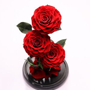 Giorno di San Valentino Anniversario di Matrimonio Compleanno Conservato <span class=keywords><strong>Rosa</strong></span> Mai Appassito Rose Fiore in 12.5X6 Cupola di Vetro Regalo - Product Image 3