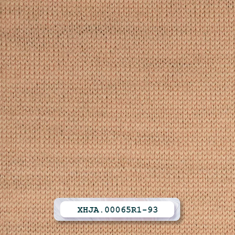 XHJA.00065R1-93