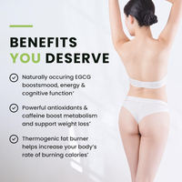 OEM/ODM Ingrédient Naturel Garcinia Cambogia Extrait Formule Pure Supplément Capsule Prend En Charge La Gestion Du Poids