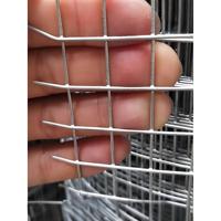 Rouleau de tissu de quincaillerie 1/2in 0.7mm 24inch X100ft pour clôture de poulet clôture de cage en fil de lapin galvanisé après treillis métallique de fer soudé