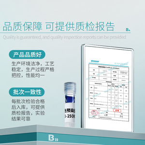Marcador de Proteínas Preestablecido Bikman Bio Tricolor 10-250KD para Electroforesis - Product Image 4