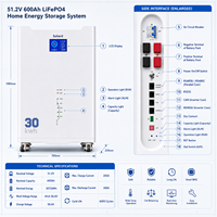 Batterie de stockage d'énergie solaire LiFePO4 à cycle profond, longue durée de vie, hybride, pour extérieur, avec contrôle BMS avancé, CAN, 30 kWh, empilable