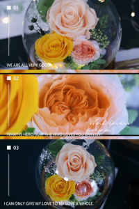 Rose éternelle sous cloche en verre avec lumière LED, double alimentation (batterie et USB), cadeau romantique pour la Saint-Valentin et les anniversaires - Product Image 4