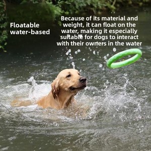Jouet à mâcher pour chien, résistant aux morsures, pour le nettoyage des dents, anti-ennui, <span class=keywords><strong>anneau</strong></span> interactif à tirer, frisbee volant, flottant sur l'eau, pour animaux <span class=keywords><strong>de</strong></span> compagnie <span class=keywords><strong>de</strong></span> grande taille - Product Image 2