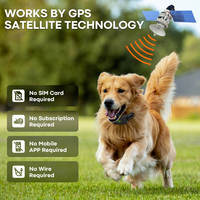 Kabelloses Wiederaufladbares GPS-Hundezaun-Trainingshalsband Wasserdichtes Elektronisches Tragbares Outdoor-Sicherheitssystem