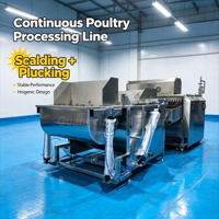 Machine à échauffer et à plumer les poulets automatique, 1000 BPH, industrielle pour l'abattage et le traitement en abattoir